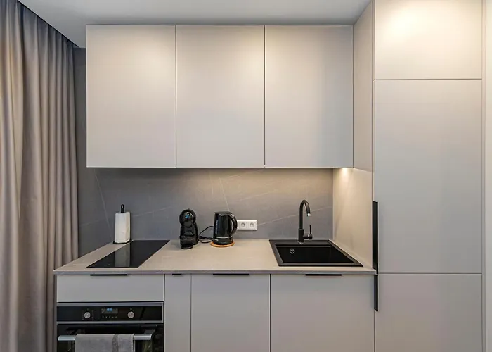 Vytauto 43 - Lietukis By Domvia Lägenhet Kaunas